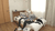 【GIF】ムラっと来るエロジフ画像2023年8月4日号001