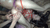 【GIF】ムラっと来るエロジフ画像2023年8月6日号003