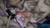 【GIF】ムラっと来るエロジフ画像2023年8月6日号004