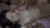 【GIF】ムラっと来るエロジフ画像2023年8月6日号008