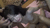 【GIF】ムラっと来るエロジフ画像2023年8月6日号014