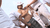 【GIF】ムラっと来るエロジフ画像2023年9月15日号058