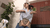 【GIF】ムラっと来るエロジフ画像2023年9月22日号039