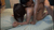 【GIF】ムラっと来るエロジフ画像2023年9月25日号004