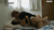 【GIF】ムラっと来るエロジフ画像2023年10月3日号057