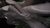 【GIF】ムラっと来るエロジフ画像2023年10月5日号033