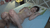 【GIF】ムラっと来るエロジフ画像2023年10月1日号024