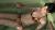 三井里彩エロ画像112枚 天然真ん丸爆乳お姉さんのマーベラスな水着グラビアや自撮り集めてみた094