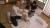 高坂ひまりエロ画像68枚＆おすすめ作品3選 ショートカットが似合う純朴ロリ女優の近親相姦集めてみた035