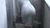 【GIF】ムラっと来るエロジフ画像2023年10月9日号019