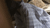 【GIF】ムラっと来るエロジフ画像2023年10月11日号004