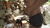 【GIF】ムラっと来るエロジフ画像2023年10月11日号005