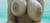 【GIF】ムラっと来るエロジフ画像2023年10月16日号021