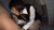 【GIF】ムラっと来るエロジフ画像2023年10月24日号042