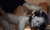 【GIF】ムラっと来るエロジフ画像2023年11月8日号063