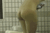 【GIF】ムラっと来るエロジフ画像2023年11月10日号080
