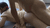 【GIF】ムラっと来るエロジフ画像2023年11月11日号027