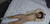 【GIF】ムラっと来るエロジフ画像2023年11月13日号033
