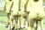 【GIF】ムラっと来るエロジフ画像2023年11月21日号012