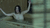 【GIF】ムラっと来るエロジフ画像2023年8月11日号035