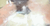 【GIF】ムラっと来るエロジフ画像2023年8月17日号068