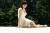 長澤奈央エロ画像163枚 戦隊ヒロイン女優の美巨乳ビキニグラビアや濡れ透け着エロ集めてみた125