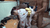 【GIF】ムラっと来るエロジフ画像2023年8月22日号053