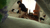 【GIF】ムラっと来るエロジフ画像2023年8月22日号059