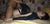 【GIF】ムラっと来るエロジフ画像2023年8月22日号060