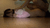 【GIF】ムラっと来るエロジフ画像2023年8月23日号067