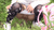 【GIF】ムラっと来るエロジフ画像2023年8月26日号023
