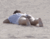 【GIF】ムラっと来るエロジフ画像2023年8月27日号002