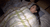 【GIF】ムラっと来るエロジフ画像2023年8月31日号033