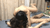 【GIF】ムラっと来るエロジフ画像2023年9月8日号036