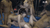 【GIF】ムラっと来るエロジフ画像2023年9月9日号027