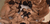 【GIF】ムラっと来るエロジフ画像2023年9月9日号029