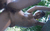 【GIF】ムラっと来るエロジフ画像2023年11月26日号036