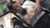 【GIF】ムラっと来るエロジフ画像2023年11月28日号051