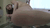 【GIF】ムラっと来るエロジフ画像2023年11月28日号038