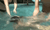 【GIF】ムラっと来るエロジフ画像2023年11月29日号057