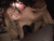 【GIF】ムラっと来るエロジフ画像2023年11月29日号031