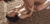 【GIF】ムラっと来るエロジフ画像2023年11月30日号078