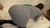 【GIF】ムラっと来るエロジフ画像2023年12月10日号067