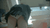 【GIF】ムラっと来るエロジフ画像2023年12月10日号006