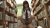 【GIF】ムラっと来るエロジフ画像2023年12月8日号053