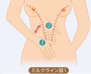 ミルクラインって知ってる？これで巨乳もイチコロらしいぞwwwのサムネイル画像
