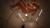 セクシーモデルのケイト･アプトンの巨乳おっぱいが縦横無尽に揺れるゼログラビティ012