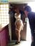 逢坂はるなエロ画像175枚 元AKB48メンバーのヌードや主観セックス＆おすすめ動画集めてみた050