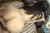 須崎まどかエロ画像94枚 ぷっくり乳輪巨乳美女の乳首弄りや抜ける動画集めてみた058