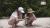 筧美和子と大川藍のエロ水着姿が公開される！  おっぱいでけぇ・・・024